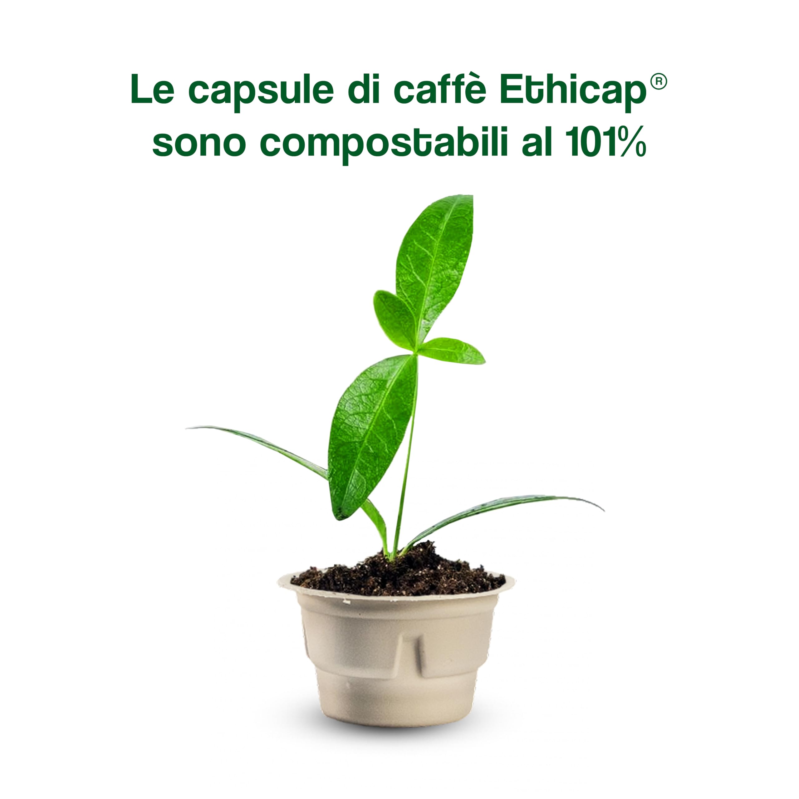 101 Caffè CAFFÈ Napoletano capsule 10 pezzi compostabili 100% Robusta