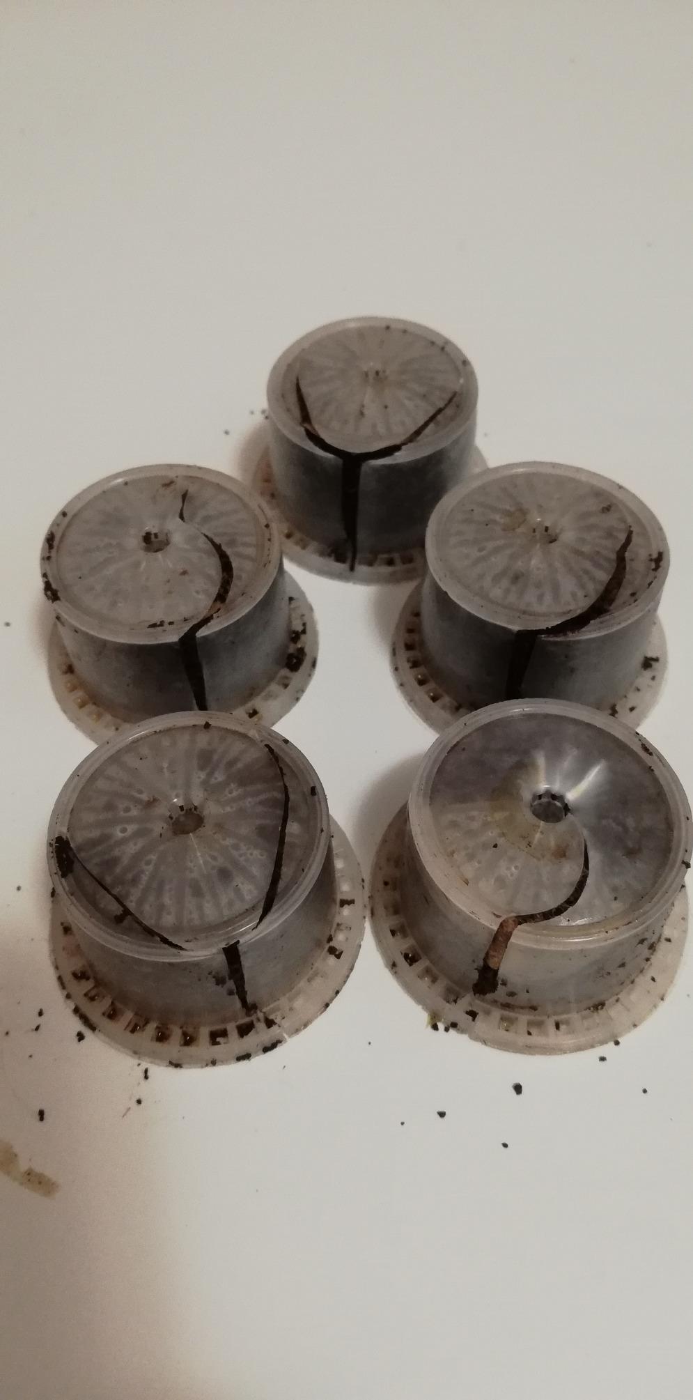 Lollo Caffè Uno system Passione Più Miscela Nero capsule 300 compatibili